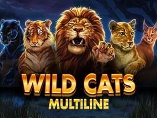 Wild Cats Multiline thumbnail